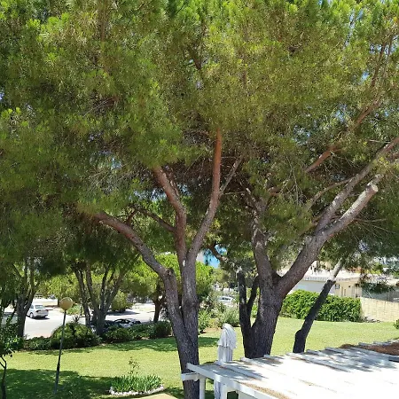 Lugar De La Luz Estepona