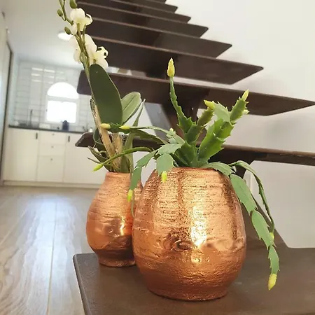 Lugar De La Luz Apartment