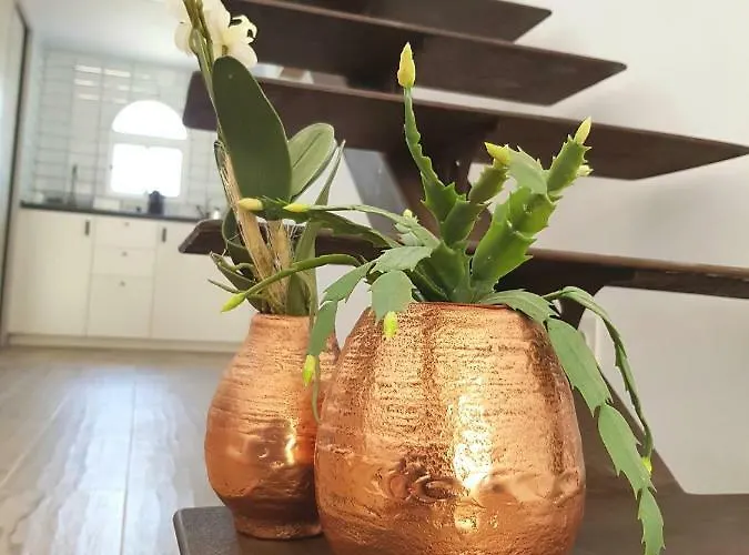 Lugar De La Luz Apartment